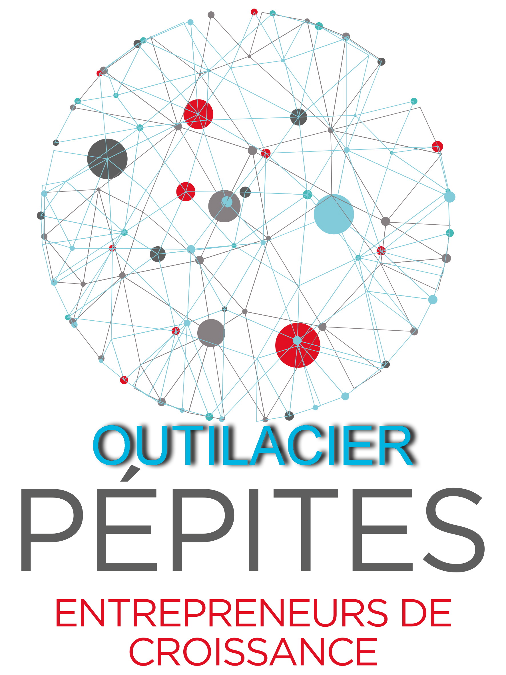 label pepites outilacier 2015